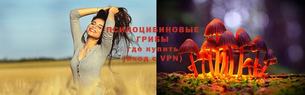 амф Армянск